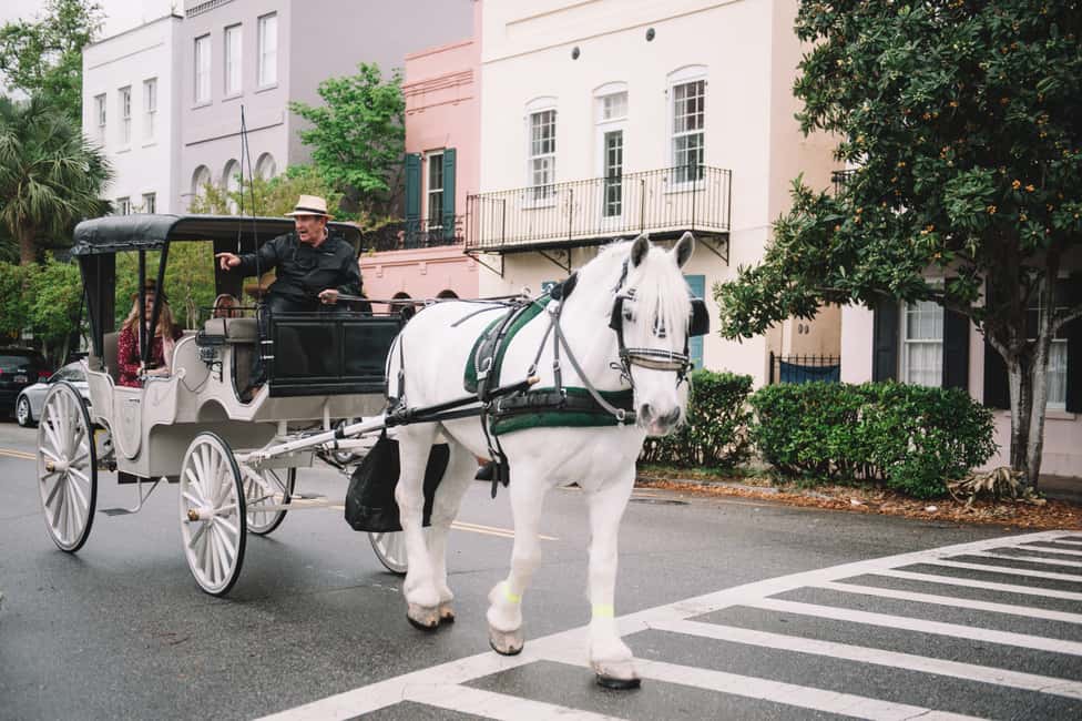 image n.6 of Charleston, SC: Private Daytime Horse-Drawn Carriage Ride activity in Charleston, uploaded by supplier