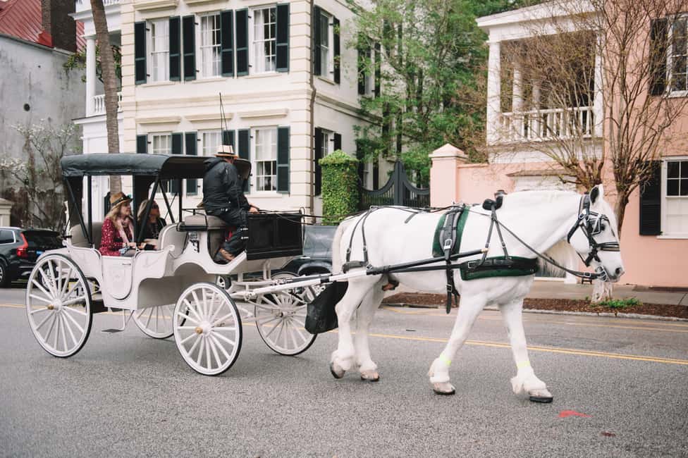 image n.7 of Charleston, SC: Private Daytime Horse-Drawn Carriage Ride activity in Charleston, uploaded by supplier
