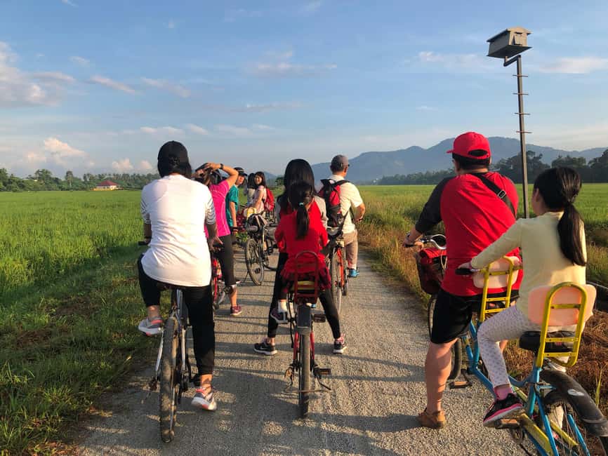 image n.12 of George Town: Balik Pulau Countryside Morning Cycling Tour activity in George Town, Malaysia, uploaded by supplier