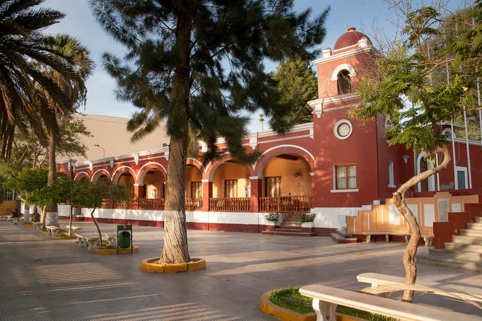 image n.6 of From Ica or Huacachina: Wine and Pisco Vineyards Tour activity in Ica, uploaded by supplier