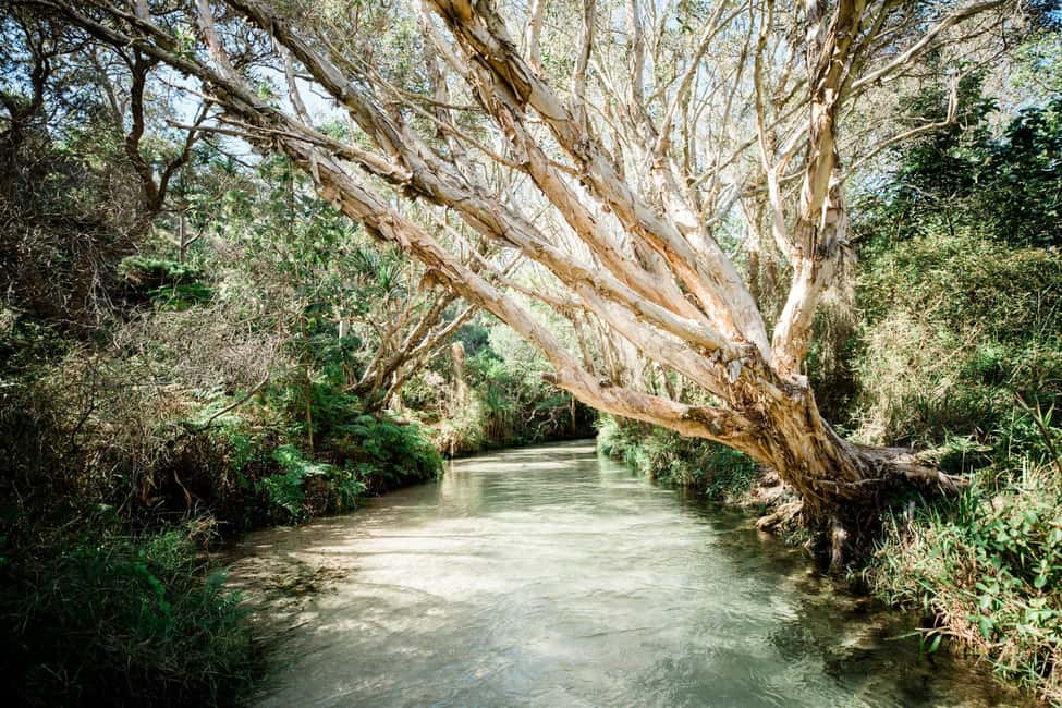 imagen n.º 2 de Desde Hervey Bay K'gari, excursión de un día entero en autocar por la Isla Fraser actividad en Queensland, subida por el proveedor