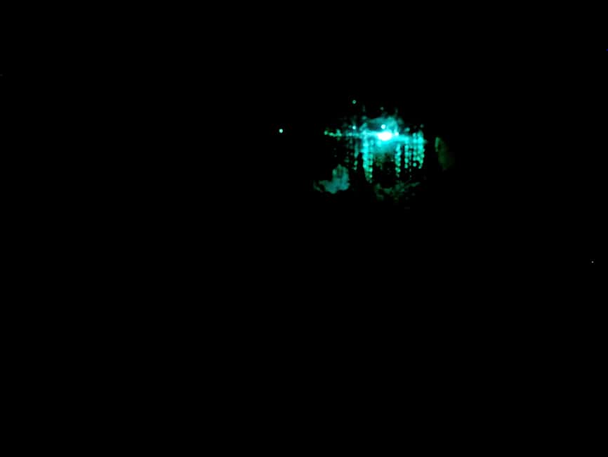 image n.4 of Sydney: Blue Mountains Glow Worms Wild Adventure by Night activity in Sydney, uploaded by supplier