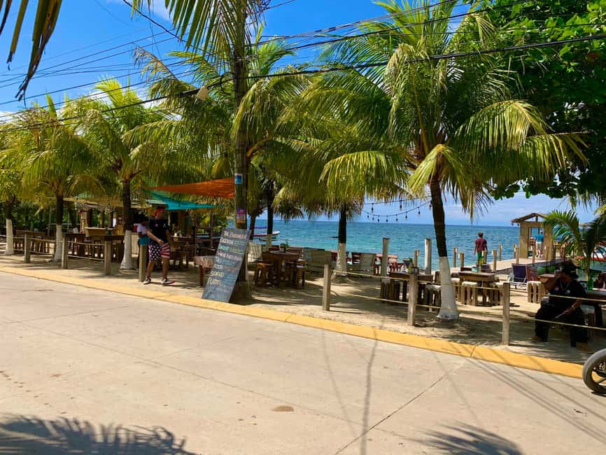 image n.14 of Roatán: Gumbalimba Preservation Nature Park and Beach Break activity in Bay Islands Department, uploaded by supplier