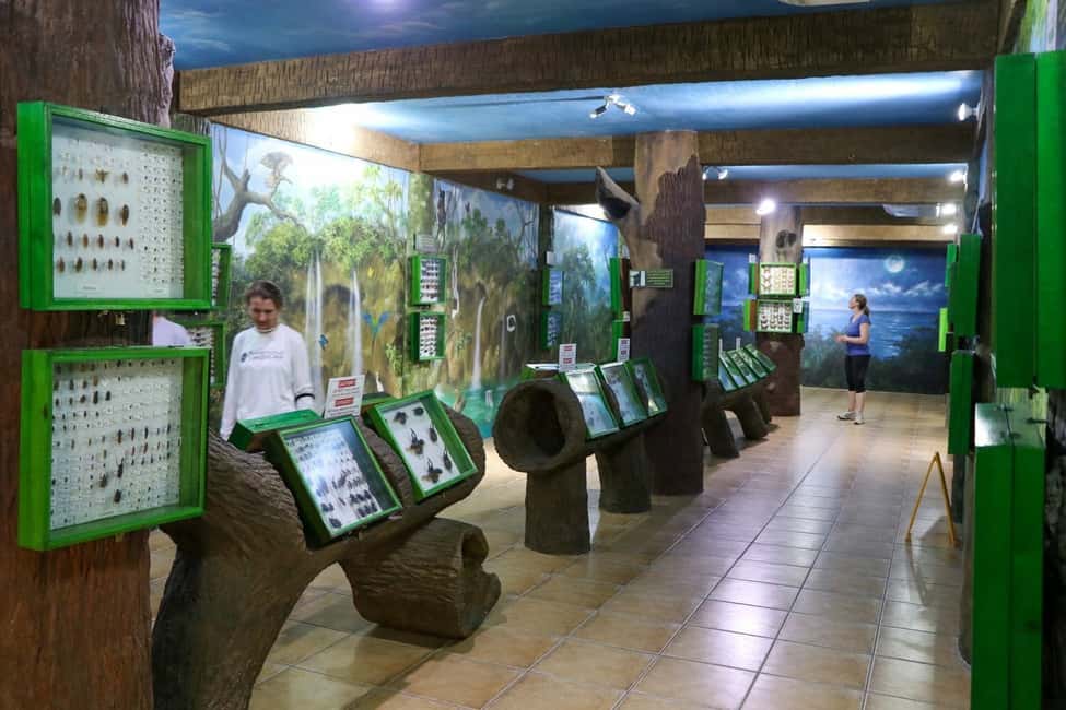 image n.7 of Roatán: Gumbalimba Preservation Nature Park and Beach Break activity in Bay Islands Department, uploaded by supplier