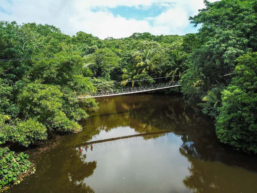 image n.10 of Roatán: Gumbalimba Preservation Nature Park and Beach Break activity in Bay Islands Department, uploaded by supplier