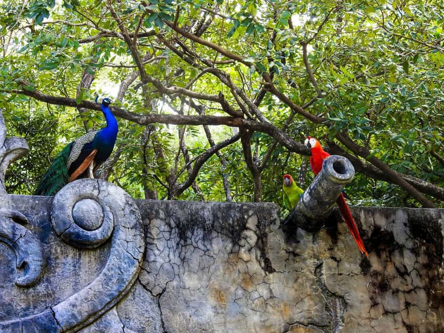 image n.12 of Roatán: Gumbalimba Preservation Nature Park and Beach Break activity in Bay Islands Department, uploaded by supplier