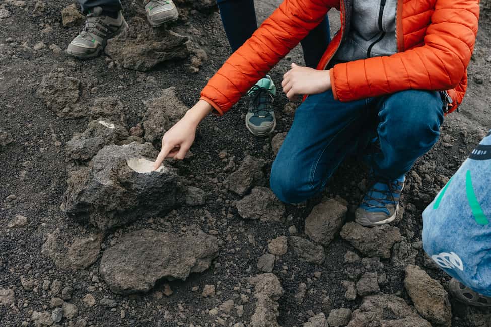 Immagine nº 29 di Catania: Gita di un giorno sull'Etna al mattino o al tramonto con degustazione attività a Catania, caricata dal fornitore