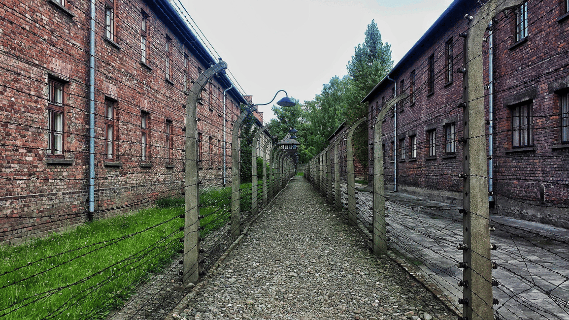 Image N°2 de Cracovie : visite guidée ou visite autonome d'Auschwitz-Birkenau activité à Oswiecim, publiée par le prestataire