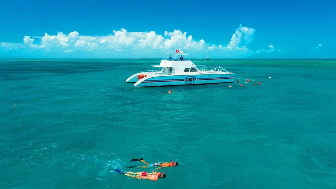 image n.6 of Key West Double Dip: 2-Stop Reef Snorkeling Trip activity in Key West, uploaded by supplier