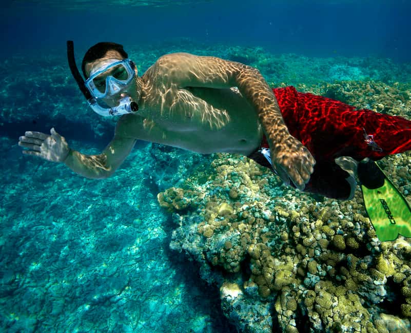 image n.7 of Key West Double Dip: 2-Stop Reef Snorkeling Trip activity in Key West, uploaded by supplier