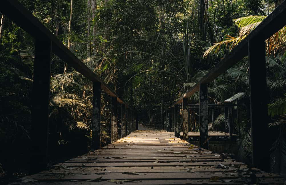 imagen n.º 12 de Desde Bangkok: Excursión de un día en grupo reducido al Parque Nacional de Khao Yai actividad en Provincia de Nakhon Nayok, subida por el proveedor