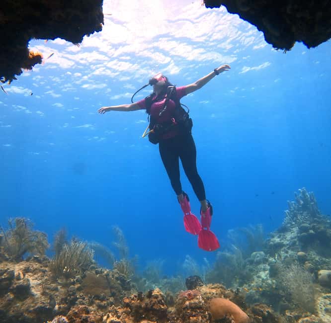 imagem n.8 de San Andres: experiência de mergulho com embarque no hotel atividade em San Andres, Colômbia, carregada pelo fornecedor