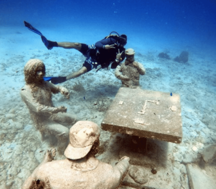 imagem n.14 de San Andres: experiência de mergulho com embarque no hotel atividade em San Andres, Colômbia, carregada pelo fornecedor