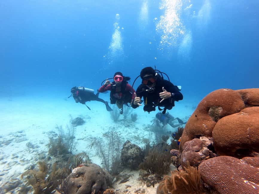 imagem n.5 de San Andres: experiência de mergulho com embarque no hotel atividade em San Andres, Colômbia, carregada pelo fornecedor