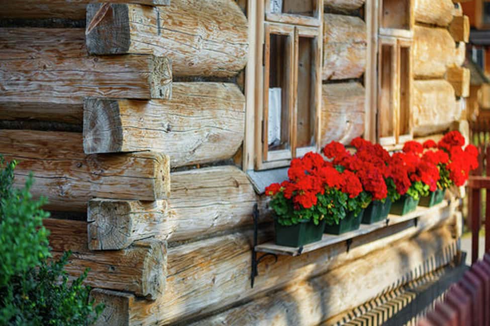 imagen n.º 6 de Desde Cracovia: Excursión en balsa por Zakopane y el río Dunajec actividad en Zakopane, subida por el proveedor