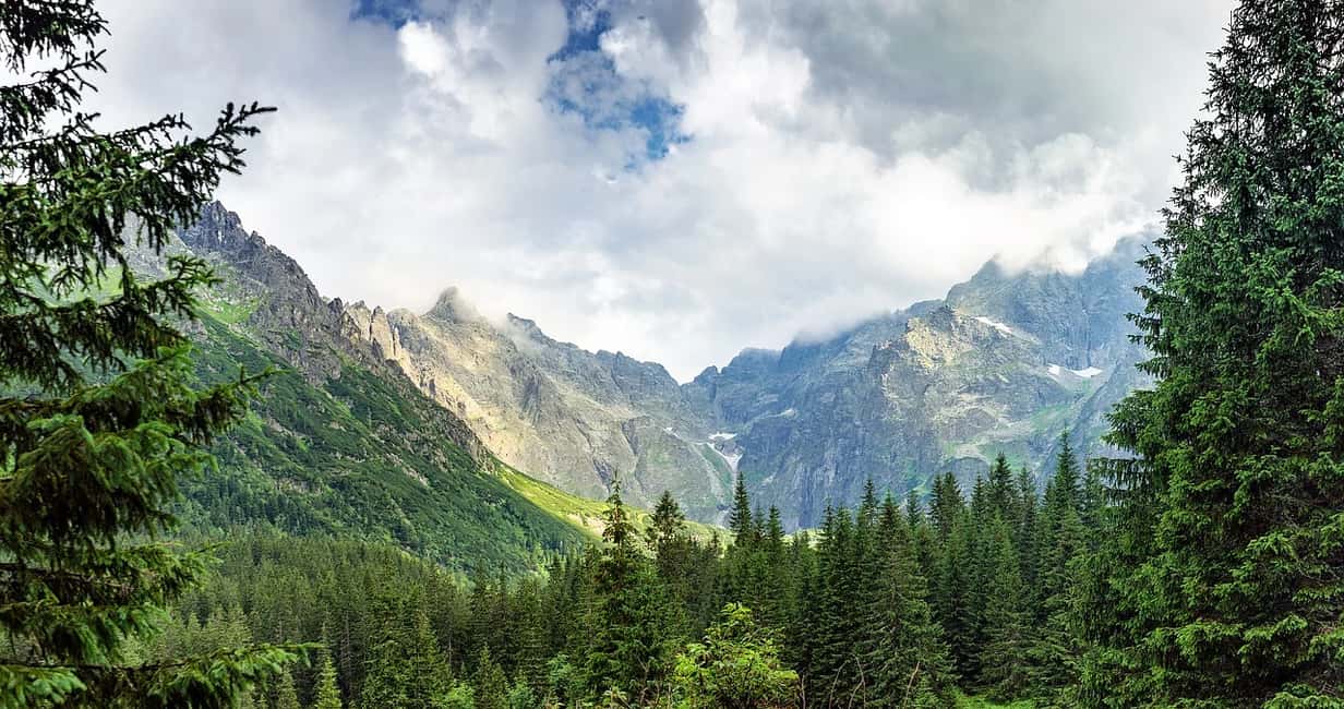 imagen n.º 8 de Desde Cracovia: Excursión en balsa por Zakopane y el río Dunajec actividad en Zakopane, subida por el proveedor