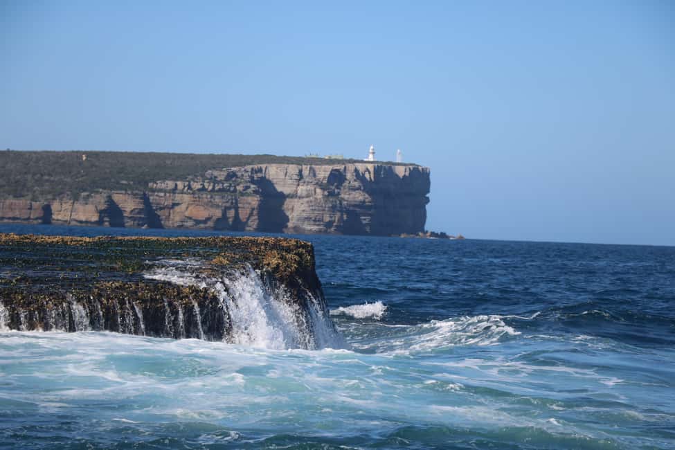 image n.3 of Jervis Bay: 2-Hour Cruise of Jervis Bay Passage activity in New South Wales, uploaded by supplier