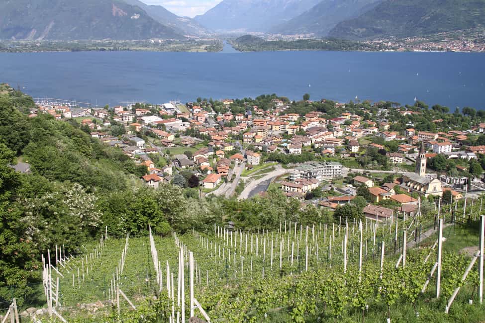 image n.7 of Lake Como: Winery Tour with Wine Tasting activity in Lombardy, uploaded by supplier