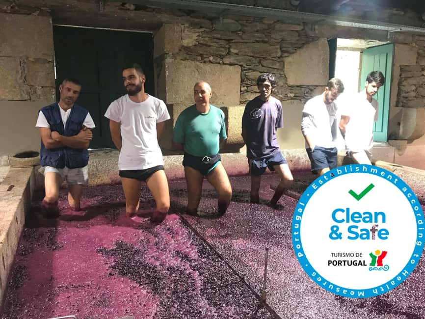 image n.3 of From Porto: Private Douro Valley Tour with Cruise and Wine activity in Norte Region, uploaded by supplier