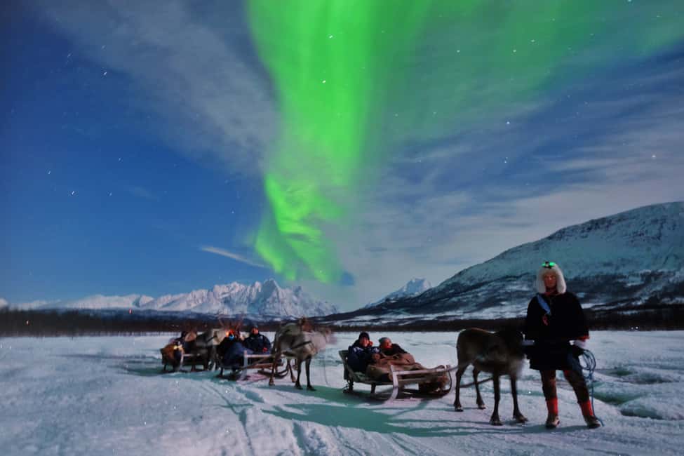 image n.2 of Tromso: Reindeer Sledding with Chance to See Northern Lights activity in Tromsø, uploaded by supplier