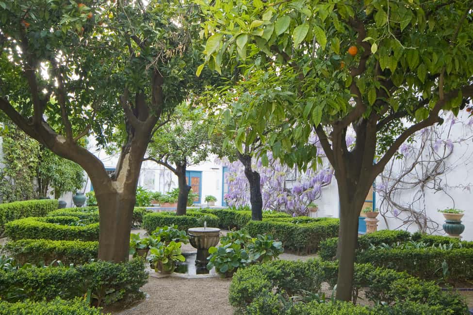image n.1 of Córdoba: Viana Palace Gardens and Patios Entry Ticket activity in Córdoba, uploaded by supplier