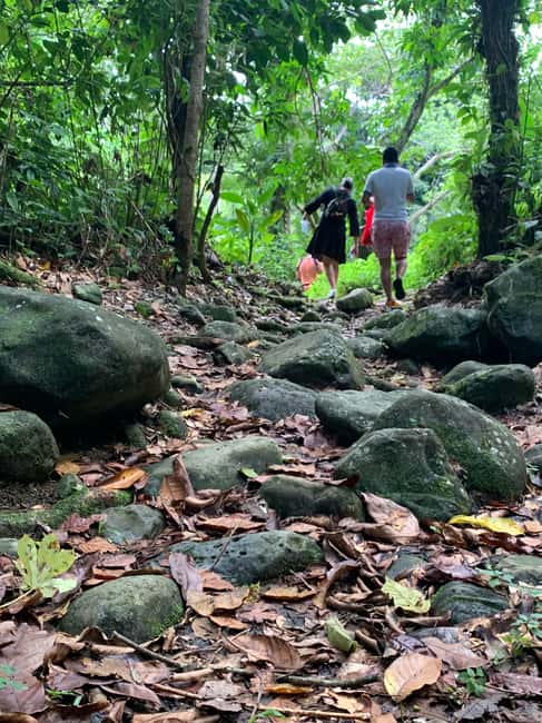 Obraz nr 4 z atrakcji Narodowy las deszczowy El Yunque: Spacer przyrodniczy i wycieczka na plażę w Río Grande, Portoryko, przesłany przez organizatora