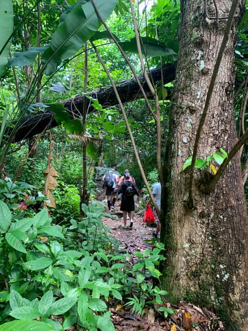 Obraz nr 7 z atrakcji Narodowy las deszczowy El Yunque: Spacer przyrodniczy i wycieczka na plażę w Río Grande, Portoryko, przesłany przez organizatora
