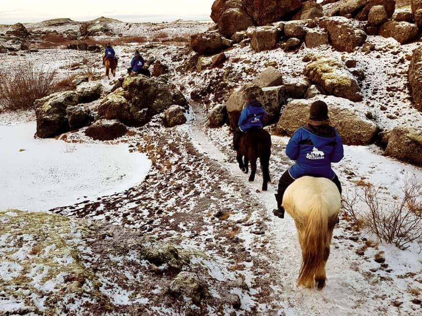 imagen n.º 8 de Reikiavik: Excursión a Caballo por la Lava Roja actividad en Reikiavik, subida por el proveedor