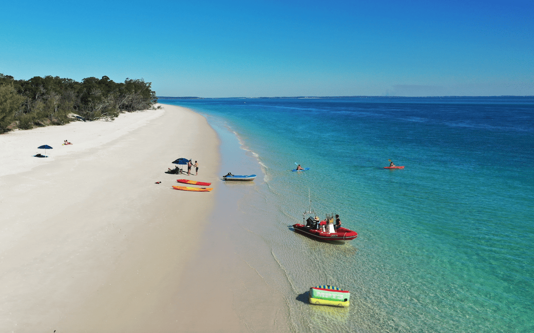 image n.17 of From Hervey Bay: Half-Day K'gari Fraser Island Beach Cruise activity in Queensland, uploaded by supplier