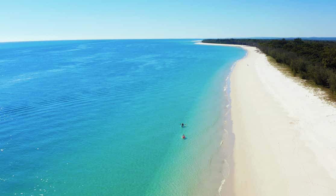 image n.18 of From Hervey Bay: Half-Day K'gari Fraser Island Beach Cruise activity in Queensland, uploaded by supplier