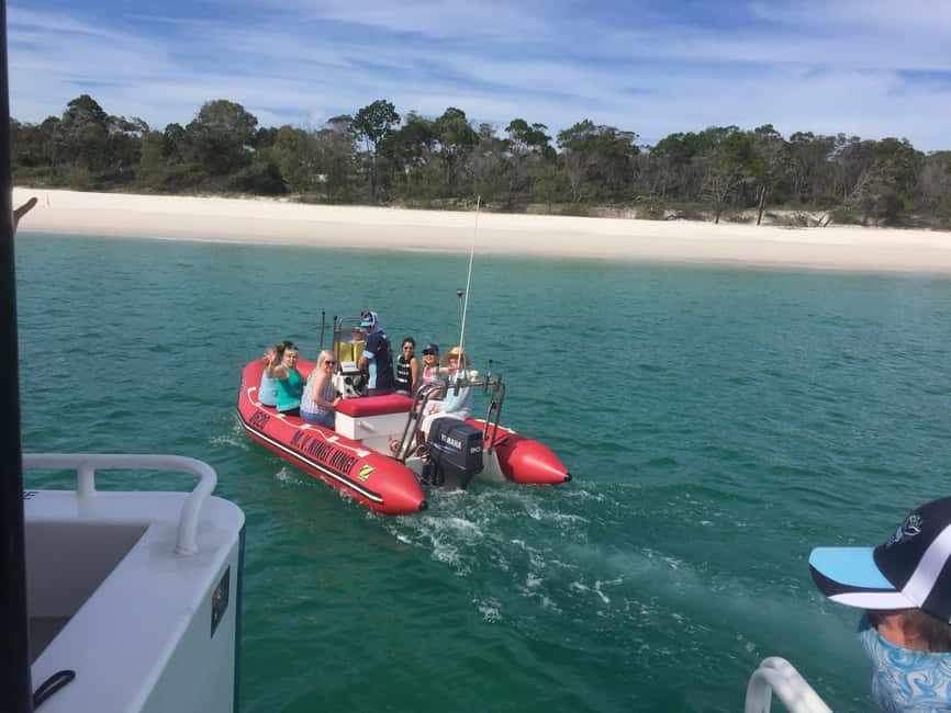 image n.19 of From Hervey Bay: Half-Day K'gari Fraser Island Beach Cruise activity in Queensland, uploaded by supplier