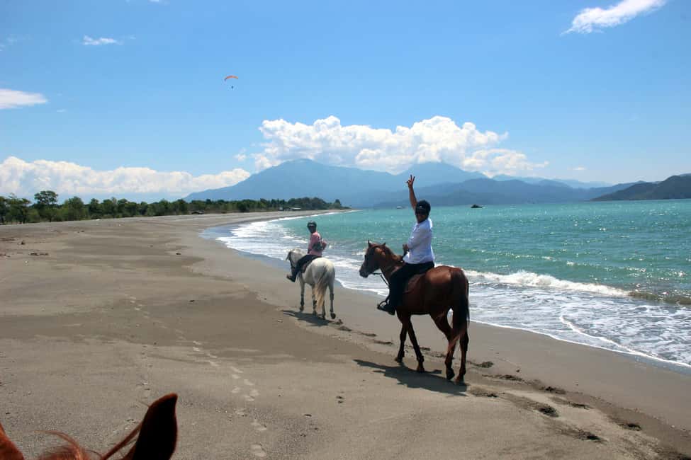 image n.3 of Bodrum: Horseback Riding Experience with Hotel Transfer activity in Bodrum, uploaded by supplier
