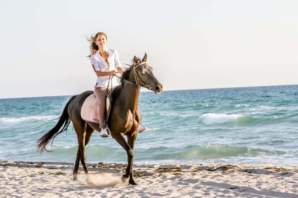image n.2 of Bodrum: Horseback Riding Experience with Hotel Transfer activity in Bodrum, uploaded by supplier