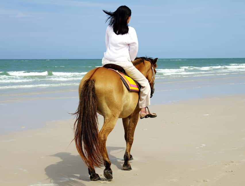 image n.5 of Bodrum: Horseback Riding Experience with Hotel Transfer activity in Bodrum, uploaded by supplier