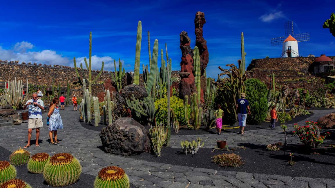 image n.7 of Lanzarote Coast-2-Coast Tour activity in Guatiza, uploaded by supplier