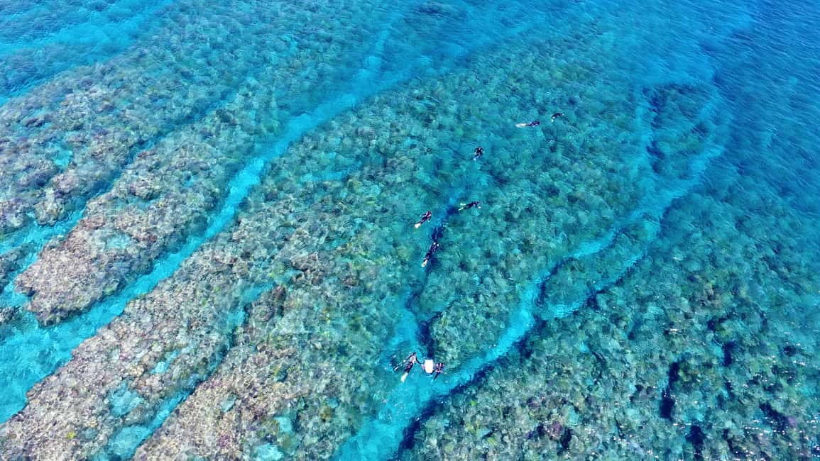 image n.10 of Naha, Okinawa: Kerama Islands Full-Day Intro-Diving Trip activity in Okinawa, uploaded by supplier
