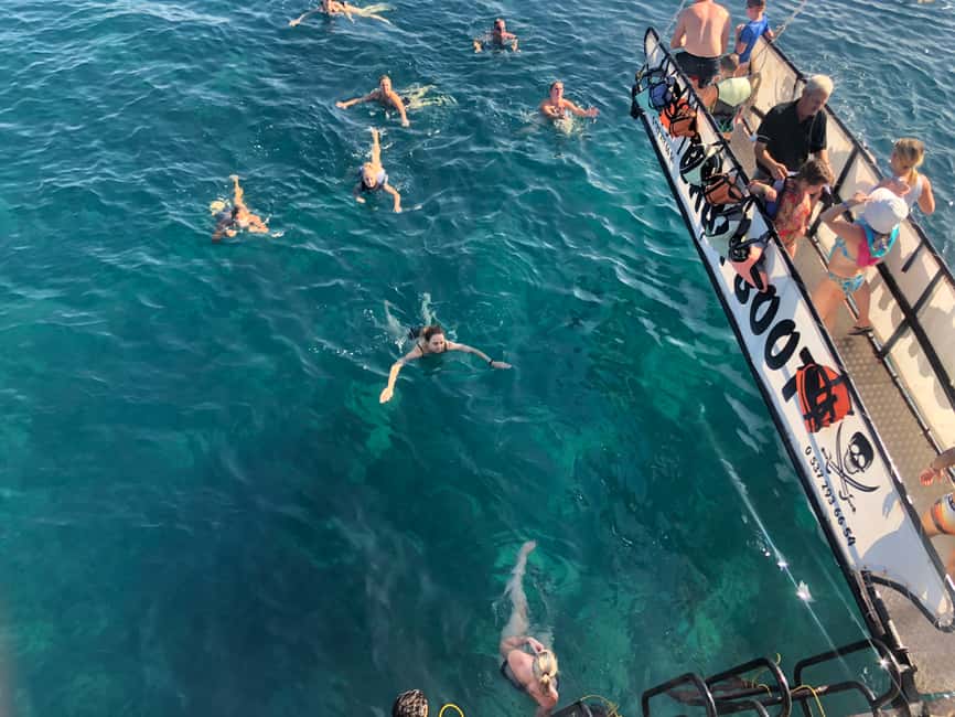 image n.19 of City of Side: Dolphin Island Boat Tour with BBQ & Foam Party activity in Antalya Province, uploaded by supplier