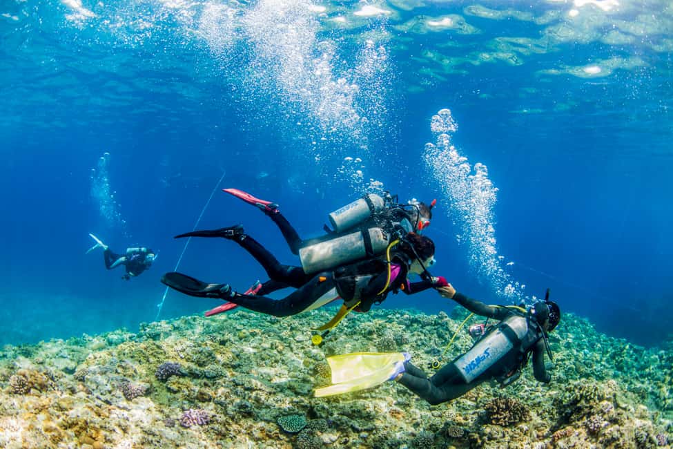 image n.5 of Naha, Okinawa: Kerama Islands Full-Day Intro-Diving Trip activity in Okinawa, uploaded by supplier