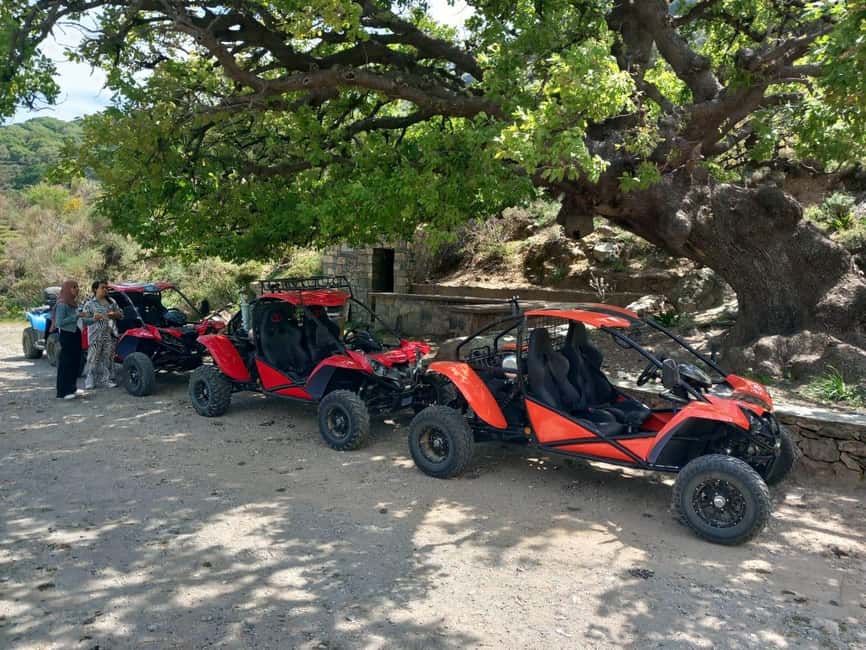 image n.6 of buggy safari half day 4 hours 4 hours ( hersonissos -Malia) activity in Neapolis, Crete, uploaded by supplier