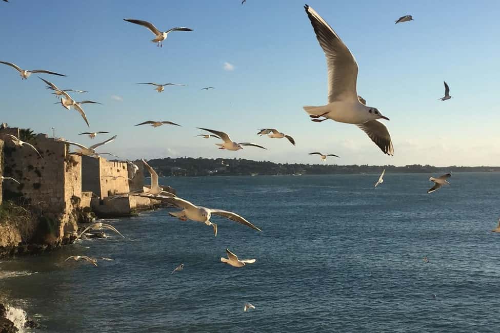 image n.2 of Siracusa: Ortygia Island Boat Tour with Grotto Visit activity in Syracuse, uploaded by supplier