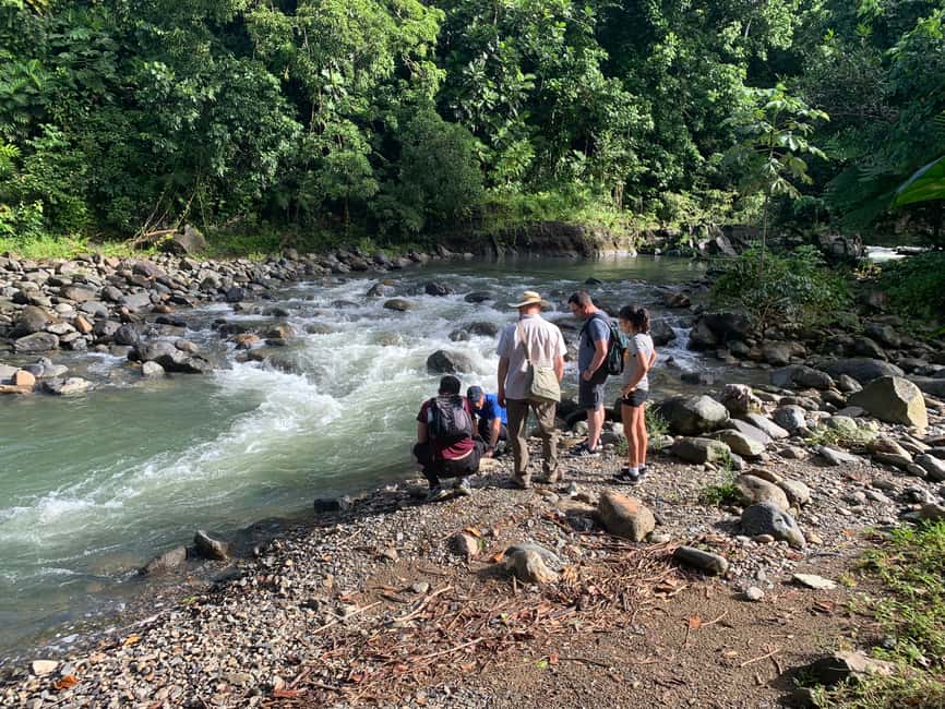 Obraz nr 8 z atrakcji Narodowy las deszczowy El Yunque: Spacer przyrodniczy i wycieczka na plażę w Río Grande, Portoryko, przesłany przez organizatora