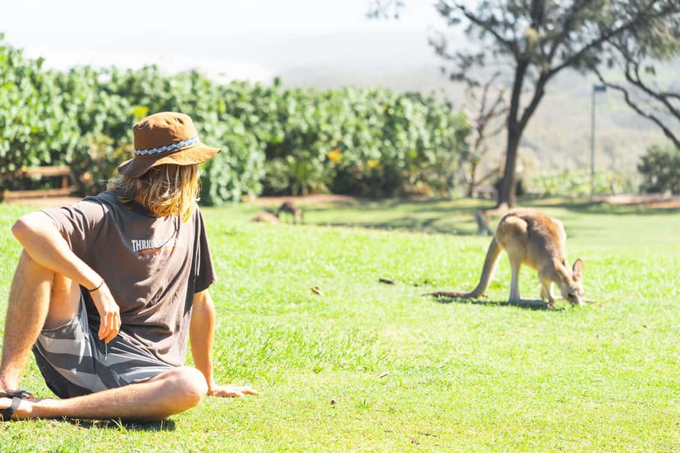 image n.4 of Brisbane: Stradbroke Island Tour - Beaches, Wildlife & Vibes activity in Brisbane, uploaded by supplier