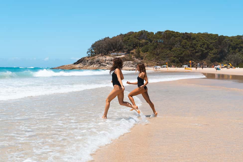 image n.5 of Brisbane: Stradbroke Island Tour - Beaches, Wildlife & Vibes activity in Brisbane, uploaded by supplier