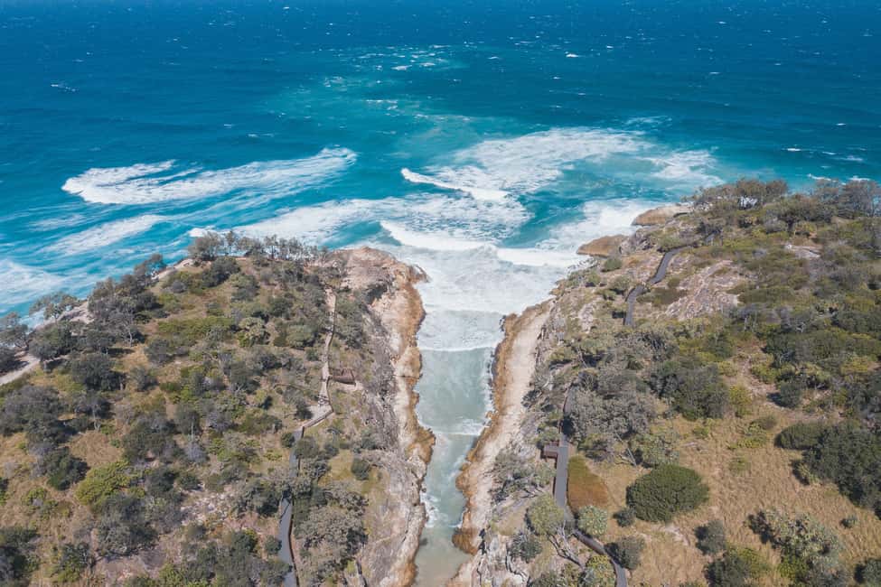 image n.7 of Brisbane: Stradbroke Island Tour - Beaches, Wildlife & Vibes activity in Brisbane, uploaded by supplier