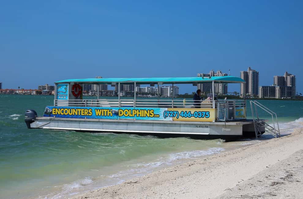 image n.3 of Clearwater: Dolphin Cruise with an Island Adventure activity in Clearwater, uploaded by supplier