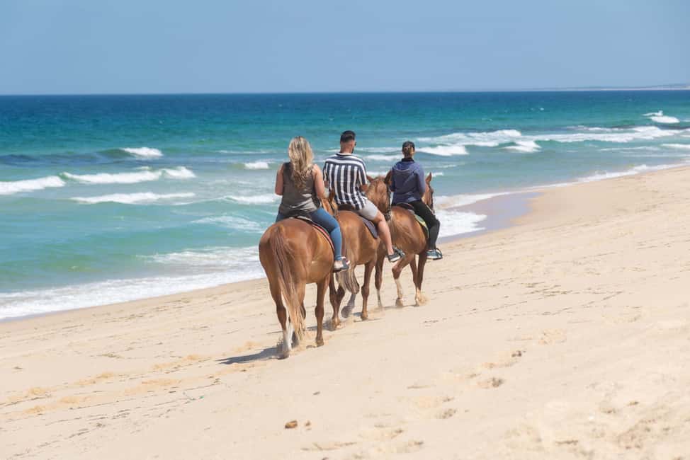 imagem n.12 de Melides: Passeios a cavalo na praia de Melides atividade em Melides, carregada pelo fornecedor