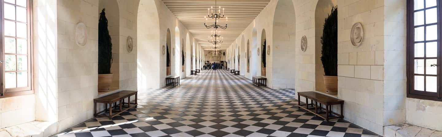 image n.2 of Tours/Amboise: Private Chambord and Chenonceau Chateau Tour activity in Chambord, uploaded by supplier