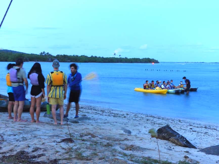Obraz nr 7 z atrakcji San Juan: Bioluminescencyjny nocny spływ kajakowy po zatoce Laguna Grande w San Juan, przesłany przez organizatora