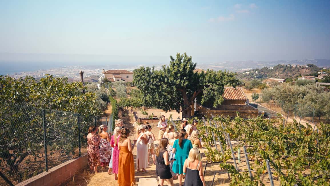 imagen n.º 11 de Málaga: Visita a viñedos y bodegas con 6 vinos de primera y tapas actividad en Málaga, subida por el proveedor