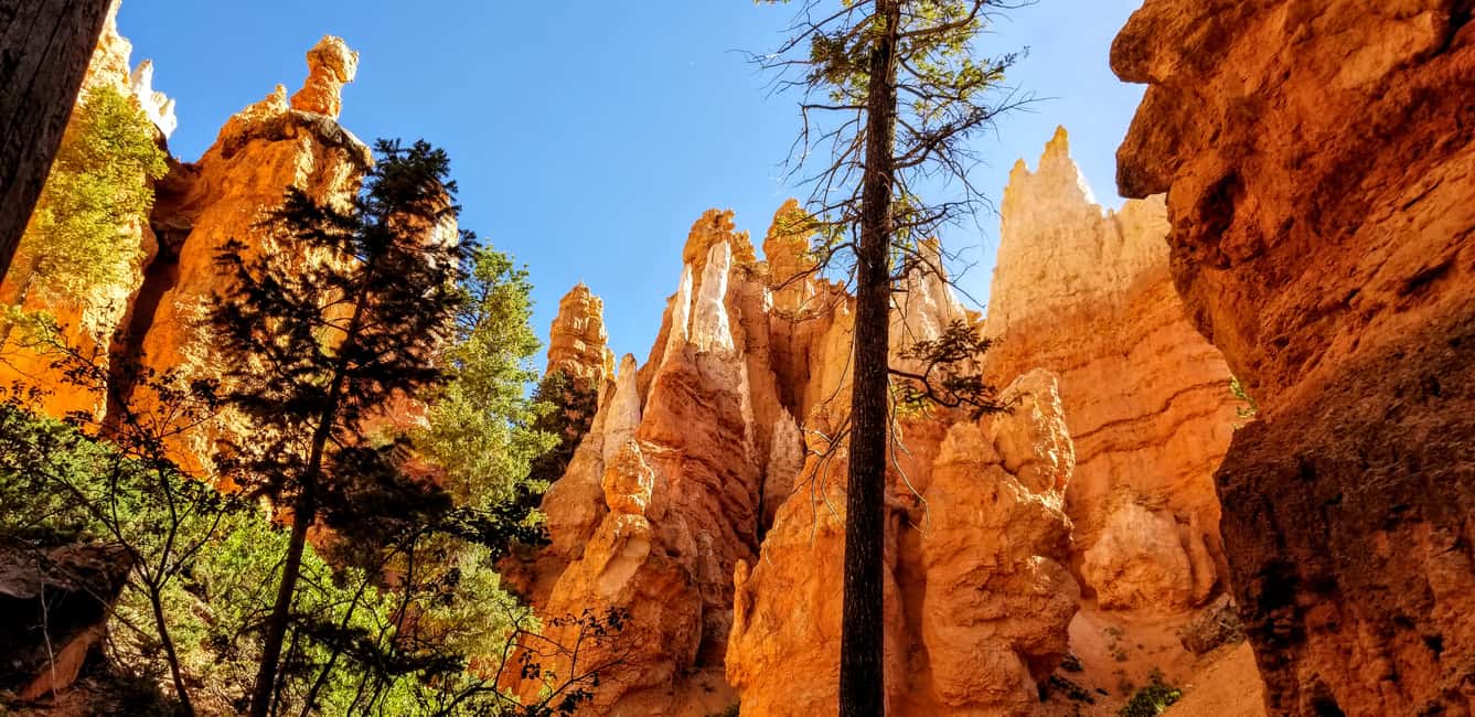 image n.2 of Bryce Canyon National Park Hiking Experience activity in Bryce Canyon City, uploaded by supplier